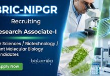 Life Science Research Associate Jobs – Apply now for NIPGR Recruitment NIPGR Recruitment for Research Associate Jobs under a DBT project. Ideal for Candidates aiming for a Career in Life Science.