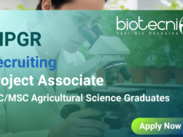 NIPGR project associate jobs 2025 – Agricultural jobs and NIPGR recruitment