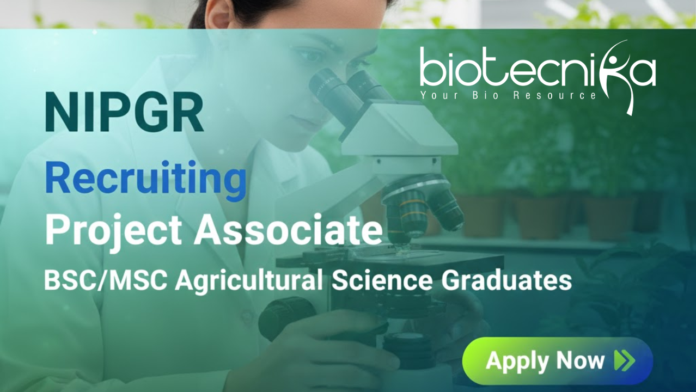 NIPGR project associate jobs 2025 – Agricultural jobs and NIPGR recruitment