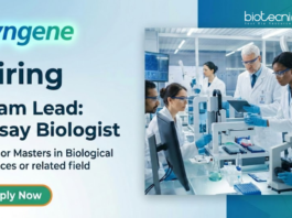 Biological Science Jobs at Syngene Career portal for Life Science Jobs in Discovery Biology. Apply for Team Lead Assay Biologist Role.