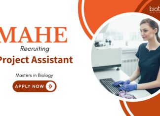 Project Assistant Jobs in KMC Manipal – Life Science Candidates Apply Now Project Assistant Jobs: MAHE Invites Applications for Project Assistant | Masters in Biology Can Apply Now for MAHE Career | Life Science Jobs