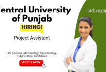 Project Assistant Jobs at Central University of Punjab. Biotechnology, Microbiology & Life Sciences Candidates, Apply now