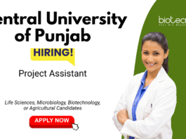 Project Assistant Jobs at Central University of Punjab. Biotechnology, Microbiology & Life Sciences Candidates, Apply now