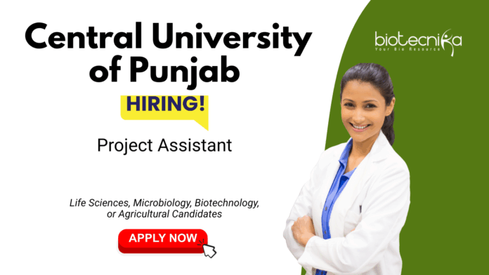 Project Assistant Jobs at Central University of Punjab. Biotechnology, Microbiology & Life Sciences Candidates, Apply now
