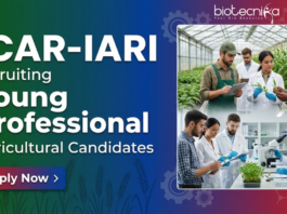 Young Professional at ICAR-Indian Agricultural Research Institute. Agricultural Candidates, Apply Now. Job in New Delhi.