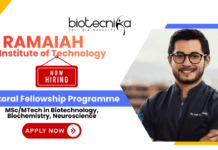 Ramaiah Institute of Technology PhD Fellowship 2025 research jobs