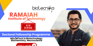 Ramaiah Institute of Technology PhD Fellowship 2025 research jobs