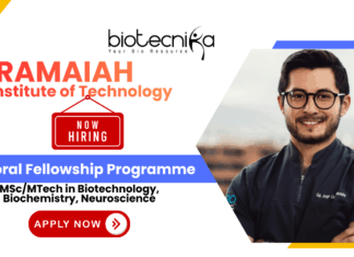 Ramaiah Doctoral Fellowship | Research Jobs for Life Science Grads Ramaiah Institute of Technology PhD Fellowship 2025 research jobs