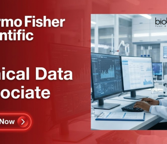 Clinical Research Job at Thermo Fisher Scientific. Apply Now For the Clinical Data Associate Role. Remote Job in India.