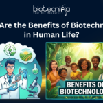 Explore the Benefits of Biotechnology in Human Life, from Healthcare & Food Security to Environmental Protection & Sustainable Development.