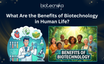 Explore the Benefits of Biotechnology in Human Life, from Healthcare & Food Security to Environmental Protection & Sustainable Development.