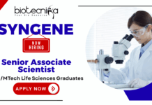 Syngene Senior Associate Scientist Recruitment 2025 | Apply for Life Science Jobs Syngene Senior Associate Scientist recruitment – life science jobs and biotechnology jobs