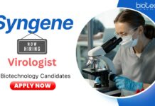 Biotech Jobs: Syngene is Hiring Virologists | Apply Now Biotech Jobs at Syngene: Hiring Virologist in Bangalore | Apply Now for a rewarding Career in Biotechnology