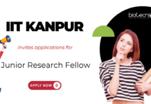 Junior Research Fellow Vacancy at IIT Kanpur. Focus on liquid Biopsy, Molecular Biology, and in-vivo models for Prostate Cancer. Apply Now