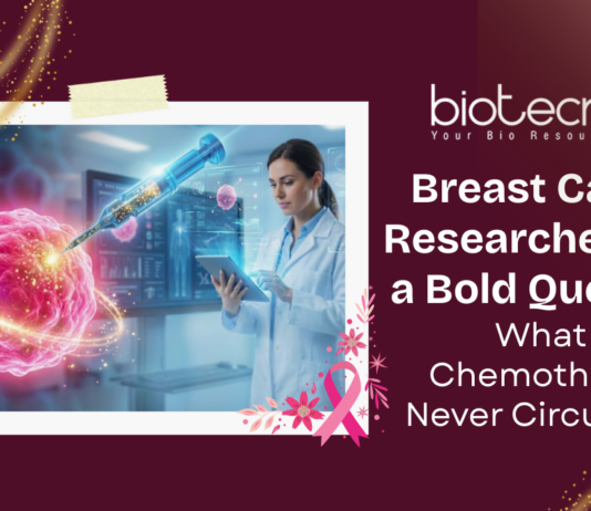 What if Breast Cancer Drugs never traveled the whole body? IIT Madras and Australian Researchers Develop a Precision Nanoinjection Therapy.