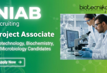 Project Associate Job at National Institute of Animal Biotechnology, Hyderabad. Life Sciences Candidates, Apply Now.
