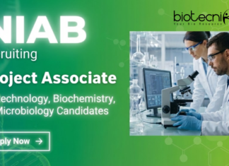 Project Associate Job at National Institute of Animal Biotechnology, Hyderabad. Life Sciences Candidates, Apply Now.