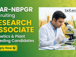 Research Associate Job at Indian Council of Agricultural Research -NBPGR. Genetics & Plant Breeding Candidates, Apply Now.