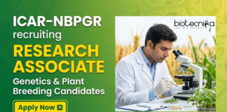 Research Associate Job at Indian Council of Agricultural Research -NBPGR. Genetics & Plant Breeding Candidates, Apply Now.