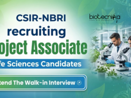 Project Associate Job at CSIR-NBRI. Life Sciences Candidates, Attend The Walk-In Interview. Genome Editing & Medicinal Plants.