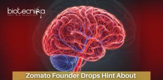 Zomato Founder Drops Hint About Temple, a Gadget for Brain Blood Flow Monitoring Zomato's Founder and CEO, Deepinder Goyal Introduces Temple, a Gadget for Brain Blood Flow Monitoring | Gravity Aging Hypothesis