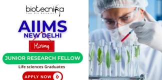 JRF Vacancy for CSIR Project Recruitment at AIIMS New Delhi | Apply Now JRF vacancy at AIIMS recruitment for CSIR research fellow jobs