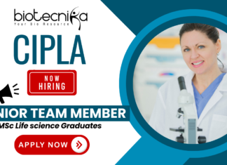 Quality Control Jobs at Cipla – Junior Team Member QC Cipla quality control jobs for life science graduates – Junior QC role