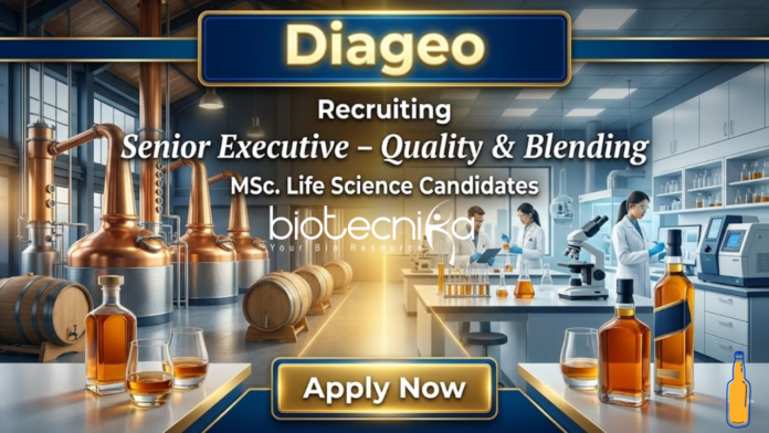 diageo https://www.canva.com/design/DAG77wLD09Q/0QlfY9IAkWITVD5ZL0kYMg/edit?ui=e30