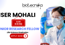 Junior Research Fellow Job at IISER Mohali – Biotechnology Junior Research Fellow biotechnology job at IISER Mohali DST project