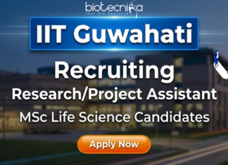 Research Assistant Jobs at IIT Guwahati | Life Science Jobs IIT Guwahati research assistant jobs 2025 for life science jobs and IIT Guwahati careers.