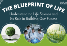 Life Sciences & Its Importance in Today’s World in driving modern Technology, Medicine, Agriculture, and global Health today.