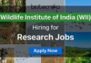 WII Recruitment 2025: Multiple Project Job Vacancies For Life Sciences WII research jobs 2025 for life science jobs under Wildlife Institute of India recruitment