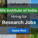 WII research jobs 2025 for life science jobs under Wildlife Institute of India recruitment