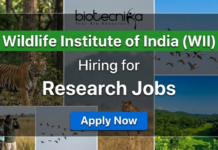 WII Recruitment 2025: Multiple Project Job Vacancies For Life Sciences WII research jobs 2025 for life science jobs under Wildlife Institute of India recruitment