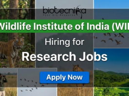 WII Recruitment 2025: Multiple Project Job Vacancies For Life Sciences WII research jobs 2025 for life science jobs under Wildlife Institute of India recruitment