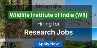 WII Recruitment 2025: Multiple Project Job Vacancies For Life Sciences WII research jobs 2025 for life science jobs under Wildlife Institute of India recruitment