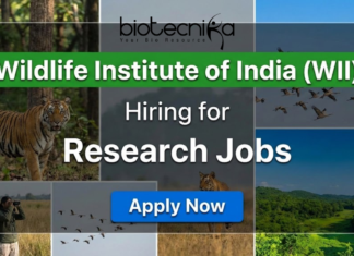 WII Recruitment 2025: Multiple Project Job Vacancies For Life Sciences WII research jobs 2025 for life science jobs under Wildlife Institute of India recruitment