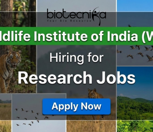 WII research jobs 2025 for life science jobs under Wildlife Institute of India recruitment