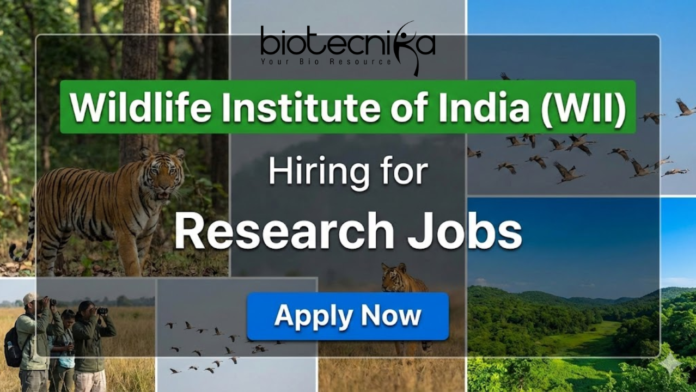 wii WII research jobs 2025 for life science jobs under Wildlife Institute of India recruitment
