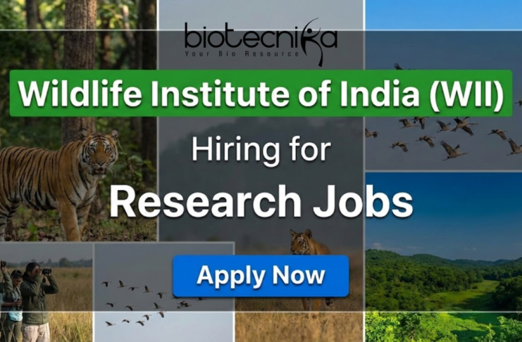 WII Recruitment 2025: Multiple Project Job Vacancies For Life Sciences WII research jobs 2025 for life science jobs under Wildlife Institute of India recruitment