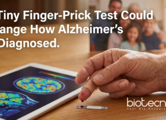 A Tiny Finger-Prick Test Could Change How Alzheimer’s Is Diagnosed finger prick blood test trial for early alzheimer diagnosis in older adults