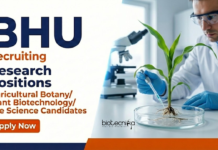 Research Jobs at BHU for Life Science Candidates – Attend the Walk-In Interview Apply for Research Jobs under BHU Recruitment 2026. DBT-funded Life Science Research Roles at Banaras Hindu University. Walk-in interview.