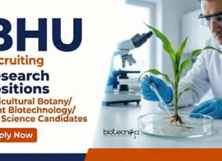 Research Jobs at BHU for Life Science Candidates – Attend the Walk-In Interview Apply for Research Jobs under BHU Recruitment 2026. DBT-funded Life Science Research Roles at Banaras Hindu University. Walk-in interview.