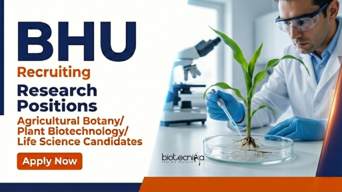 BHU Apply for Research Jobs under BHU Recruitment 2026. DBT-funded Life Science Research Roles at Banaras Hindu University. Walk-in interview.