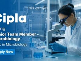 Microbiology Jobs at Cipla – MSc Candidates Apply Online Apply for Microbiology Jobs at Cipla. Junior Team Member role in Baddi for MSc Microbiology Candidates seeking QC/ QA Jobs.