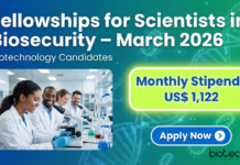 Research Fellowships at IGCEB. Arturo Falaschi PhD Fellowship for Scientists in Biosecurity (March 2026). Earn a Monthly Stipend OF US$1,122