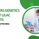 Freshers Genetics Jobs at Lilac Insights - Apply for Genome Analyst Job at Biotecnika