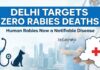 Delhi Targets Zero Rabies Deaths by Declaring Human Rabies a Notifiable Disease Delhi Government has Declared Human Rabies a Notifiable Disease to Improve Reporting, Strengthen Surveillance, & Prevent Rabies Deaths.