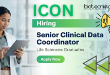 Senior CDC Job at ICON Careers for Life Science Jobs in Clinical Data Management