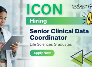 Senior CDC Job – Senior Clinical Data Coordinator at ICON | Life Science Jobs Senior CDC Job at ICON Careers for Life Science Jobs in Clinical Data Management